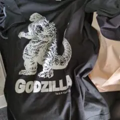 Item thumbnail for item 4c92cc29-d89d-437f-85f1-9aae89b7c1a5