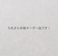 Item thumbnail for item 27b913dc-2828-44e7-8023-18dc7d394c24