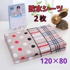 Item thumbnail for item 60d4eaf3-83c3-4dcf-a4f0-b6a91d47ee60