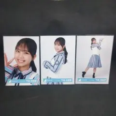 りんご様 リクエスト 3点 まとめ商品