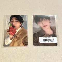 Hollow アイエン トレカ2枚セット