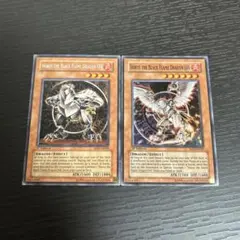 PSA10 ホルスの黒炎竜 LV4 旧アジア 世界に1枚 遊戯王】 ホルスの黒炎竜 LV4 SOD(401)/レア の通販 - カーナベル