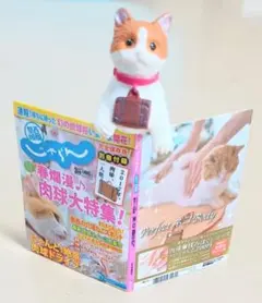 Item thumbnail for item e4cc27b9-6b3c-4889-854b-cf894ed02944