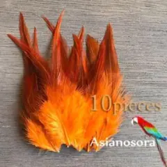 Item thumbnail for item 701d645b-e1e4-4a19-a875-7199a70888be