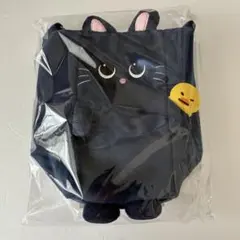 ウォンビン　ペンライト　バッグ　ファンライト　トニャンドク　RIIZE ウォンビン ペンライトバッグ ファンライト トニャンドク RIIZE 東京