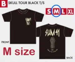 2025年最新】punkspring tシャツの人気アイテム - メルカリ