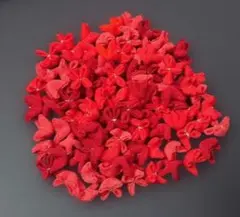 ひろ様専用です