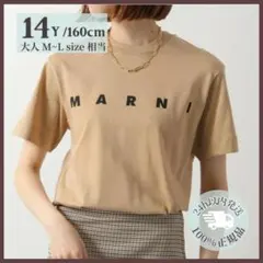 人気 MARNI マルニ ロゴ Tシャツ 14Y M L 新品未使用 ベージュのサムネイル