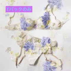 HIMIKO 025シリーズ フルバックレース メンズ L サルート好きな方も