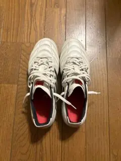 コパアイコン2