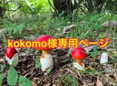 kokomo様専用ページ