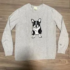 fLAnsisCA ビームス ニット セーター M 長袖 フランシスカ