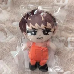 【新品未開封】Snow Man 向井康二 すのチル チルぬい