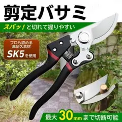 剪定バサミ はさみ ハサミ ばさみ 鋏 園芸 枝切り 果樹 収穫 庭木 盆栽のサムネイル