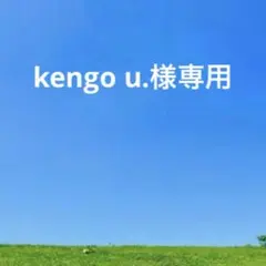 未使用　IL BISONTEイルビゾンテ レザー二つ折り財布 ブラック　コンチョ