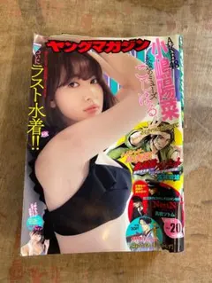 週刊ヤングマガジン 2017年20号 衛藤美彩 ザ・ファブル 監獄学園