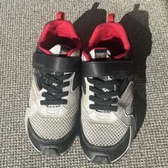 ムーンスター　スニーカー　20.5 EE キッズ ジュニア 外履き 洗い替え