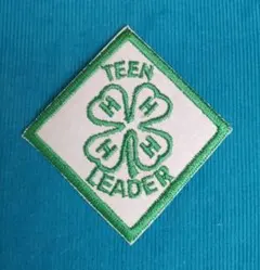 【希少】USA製 ヴィンテージ 4-H クラブ 刺繍ワッペンのサムネイル