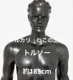 男性 マネキン デッサン人形　トルソー 約185cm 人形　等身大 男性 マネキン デッサン人形 トルソー 約185cm 人形 等身大 - メルカリ