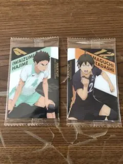 Item thumbnail for item 00905485-6c66-4034-bca6-66187684235b