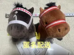 2026年最新】ステイゴールド ぬいぐるみの人気アイテム - メルカリ