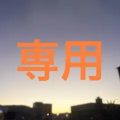 専用