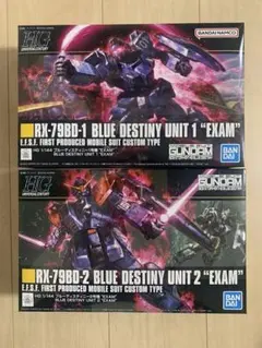 HG RX-79BD-1&2 ブルーデスティニー EXAM - メルカリ