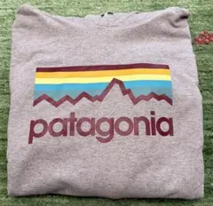 patagonia グレー フーディ