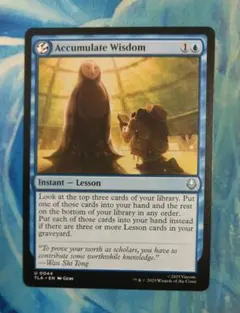 MTG 積み重ねられた叡智/Accumulate Wisdom TLA 英語版
