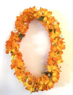 フラダンス　レイ