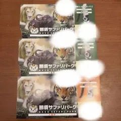 那須ワールドモンキーパーク 入園券 3枚セット