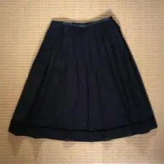 スカート　ブラック　ラメ入りシアーのサムネイル