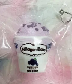 ハーゲンアイス ブルーベリー＆クリーム 海外スクイーズ 捏捏