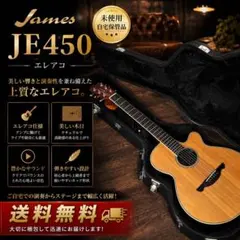 242 未使用保管品 JAMES エレアコ JE450 NAT 送料無料のサムネイル