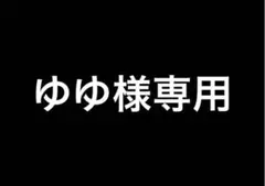 ゆゆ様専用 トレカファイル 2個セット