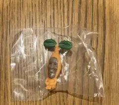 こびとづかん おすわりマスコット5 イヤシミドリバネ