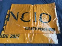 【未使用】アランチョネロタオル 2枚セット 2017 2018