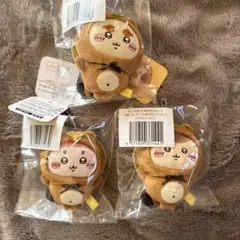 たぬきだもんくじ C賞 3個セット