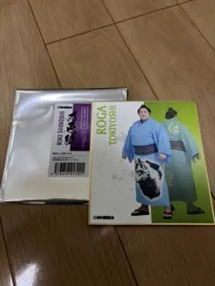 Item thumbnail for item 2c861257-6e72-411b-bafd-fe369394db23