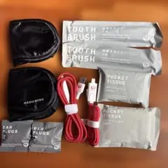 JALアメニティ ファーストクラス　ビジネスクラス 携帯充電ケーブルセット