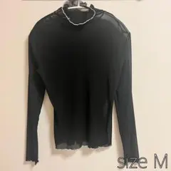 長袖シースルー