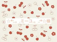 ☆*:.。.ミーコ.。.:*☆様