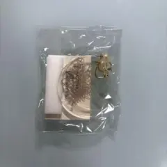 ANEMONE イヤリング　DG270187EGY