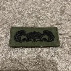 陸上自衛隊　水陸機動団　水陸両用徽章　OD PX品