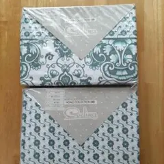 Item thumbnail for item 022f329f-b97a-4c85-b282-0e62aa3ad3bc