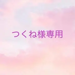 つくね様 リクエスト 2点 まとめ商品