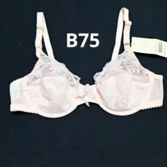 ワコール　トレフルブラジャー　B75 ワコール 絹くらぶ ブラジャーB75 - メルカリ
