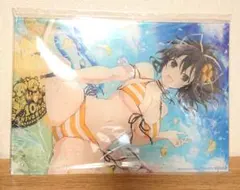 名探偵コナン ラミネートカード 江戸川コナン 毛利蘭 水着 激レア