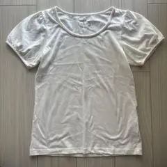 Item thumbnail for item 3d1ba43d-2f65-4c74-88d0-5a99cd64dae4