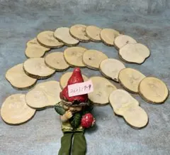 Item thumbnail for item ca9626a4-8d9f-4987-9f35-9e195516f529